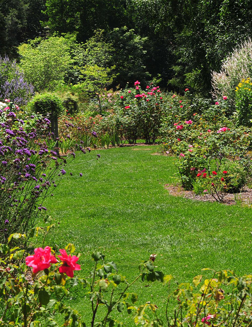 Nos Services de Paysagiste : Entretien Professionnel d'Espaces Verts à Yerres (91330) et dans l'Essone (91) Nos Services de Paysagiste : Entretien Professionnel d'Espaces Verts à Yerres (91330) et dans l'Essone (91)