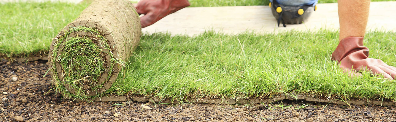 Pose de Pelouse et Gazon à Yerres (91330) – Experts en Aménagement de Jardins dans l'Essone (91)