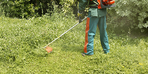 Debroussaillage de terrain à Yerres (91330) dans l'Essone (91)